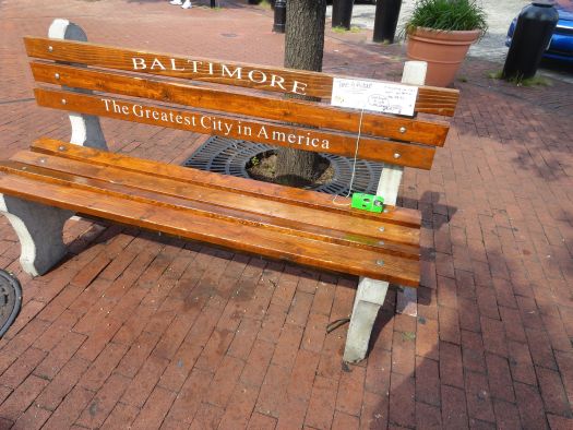 Disposable Camera Installation (2)