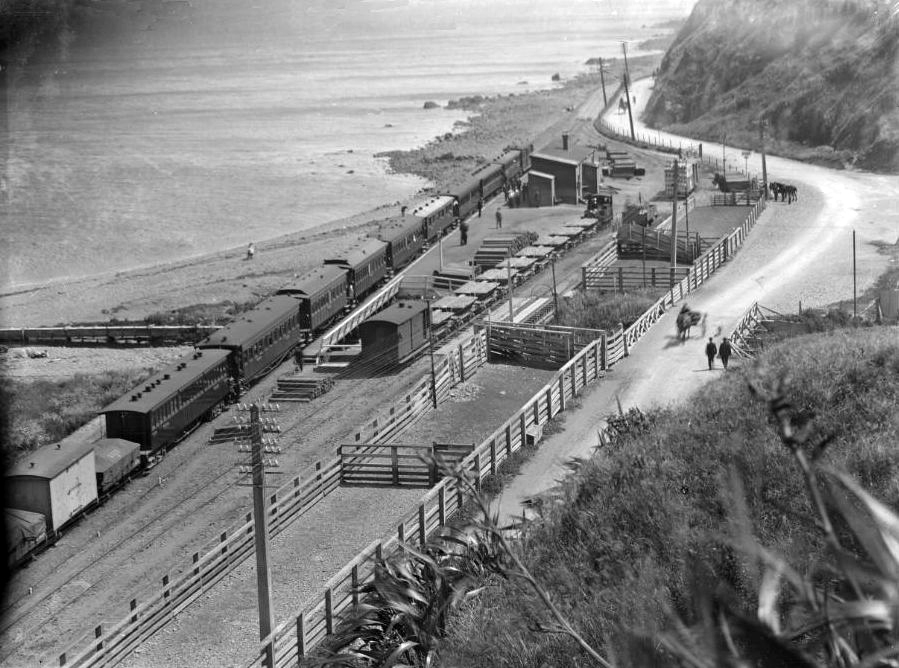 transpress nz trains at Ngauranga