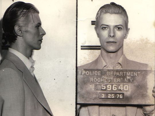 Bowie The Mad Aristocrat