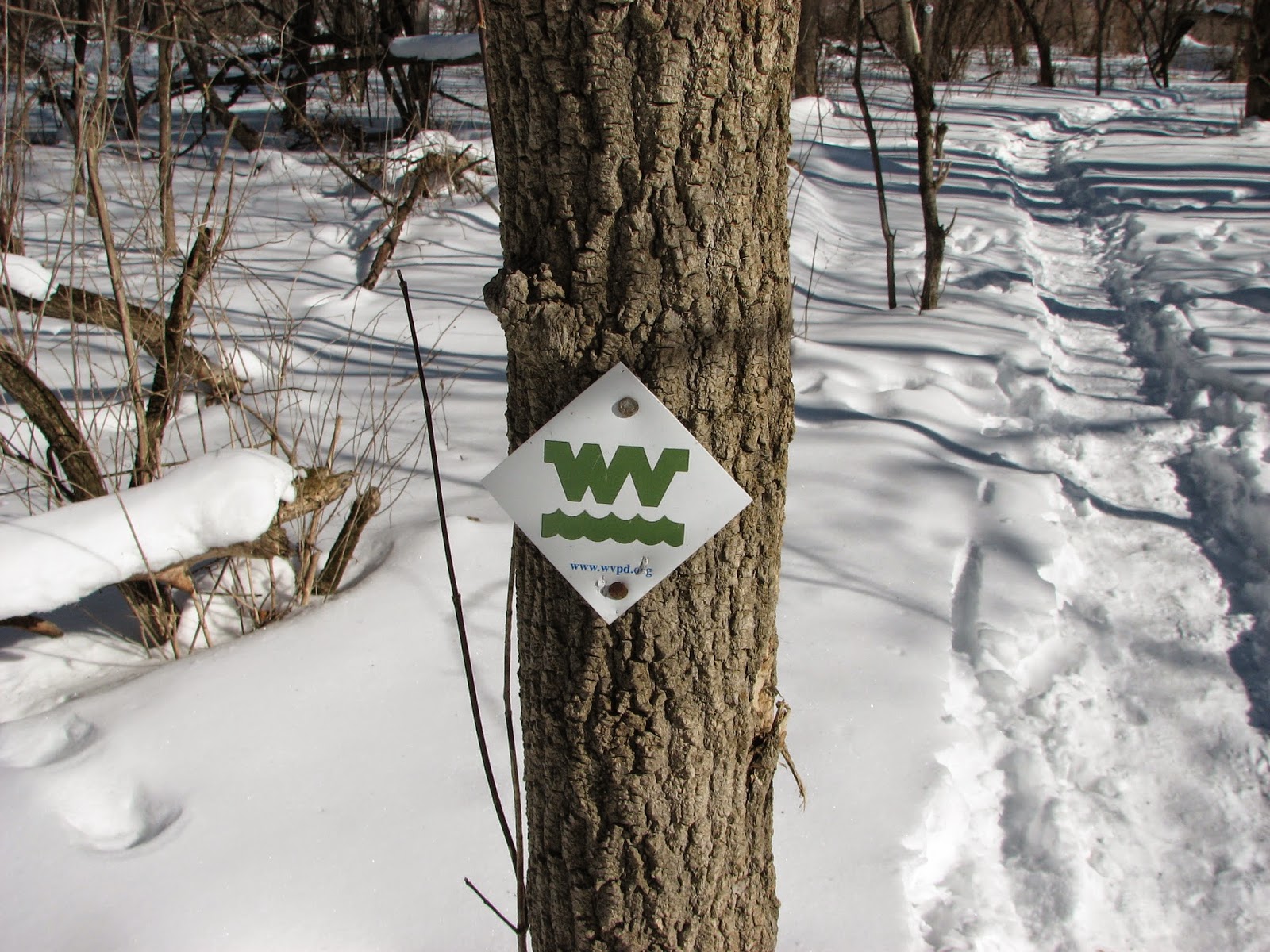 Woodside Natural Area, nature trailsWVPD. (Photos). In search of the