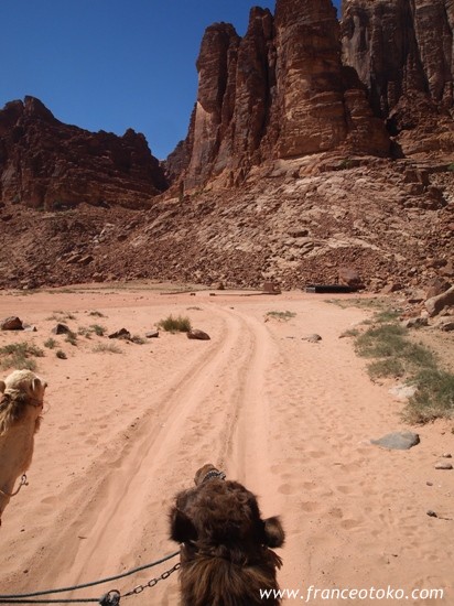 アラブの姫様気分で砂漠をさまようonラクダ @ ヨルダン旅行ワディラムJordan Wadi Rum/Bedouin Directions