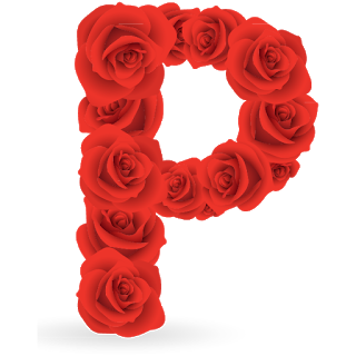 Abecedario de Rosas Rojas. Red Roses Alphabet.