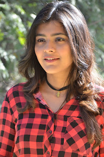 hebah patel at nnnbf success meet hebah patel at nnnbf success meet