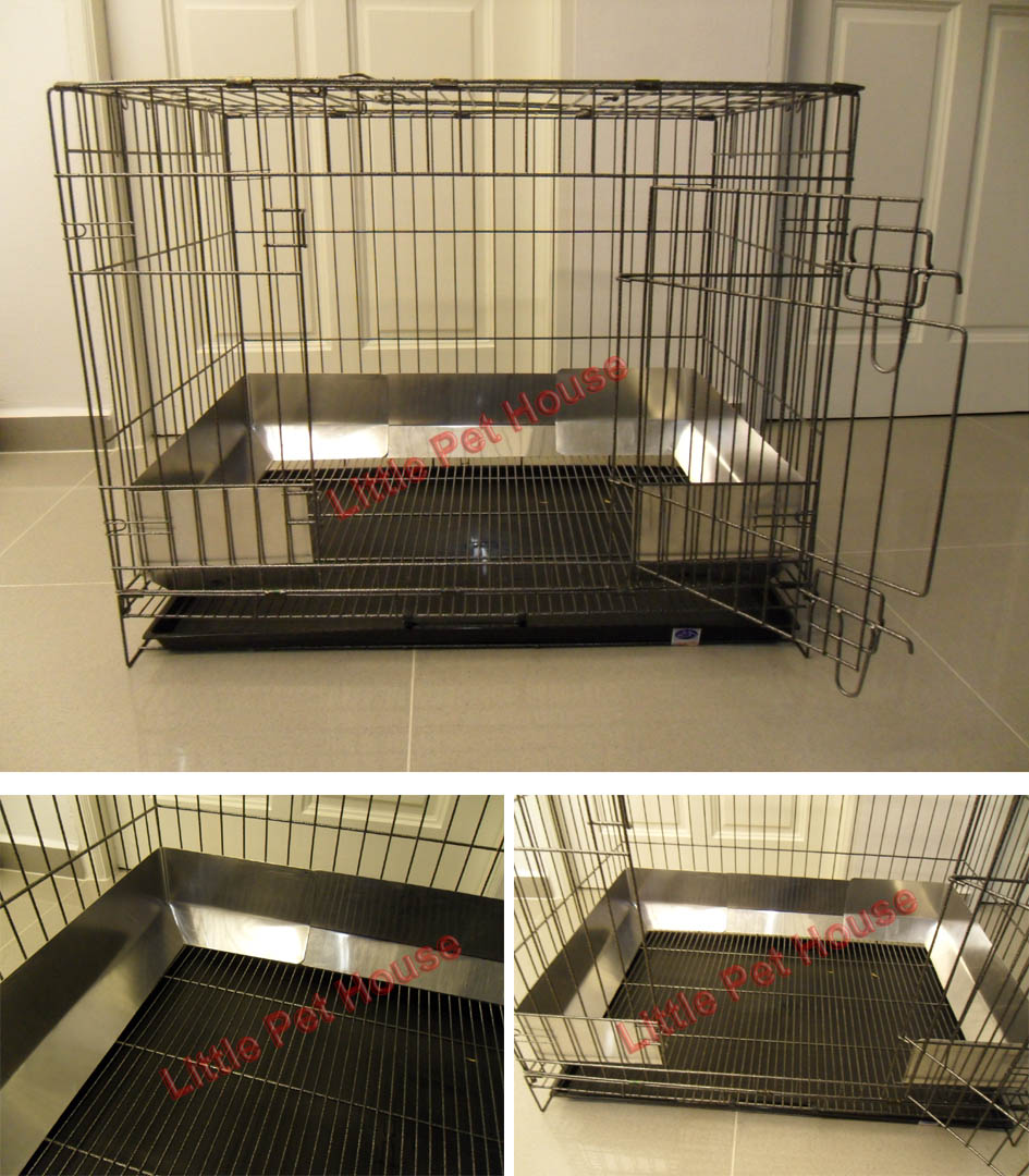 Little Pet House Your Budget Friendly Online Pet Shop in Singapore