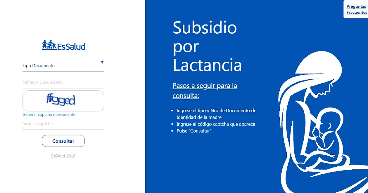 SUBSIDIO POR LACTANCIA CONSULTA VIRTUAL