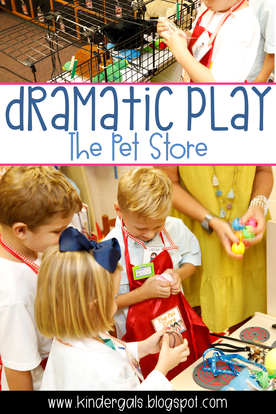 Pet Shop Dramatic Play - Play to Learn Preschool