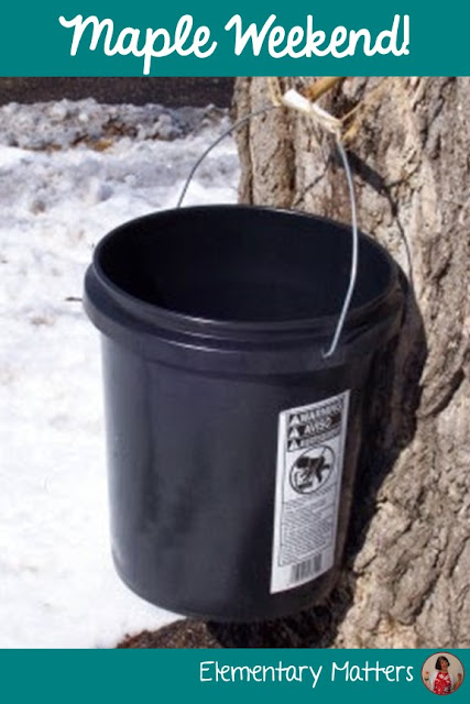 Maple Weekend: Facts, videos, and books to help children learn about how Maple Syrup is made!