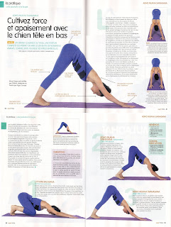 http://www.makemeyoga.com/wp-content/uploads/2013/04/ChienTeteenbas.jpg