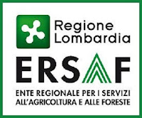 concorso pubblico ersaf lombardia concorso pubblico ersaf lombardia