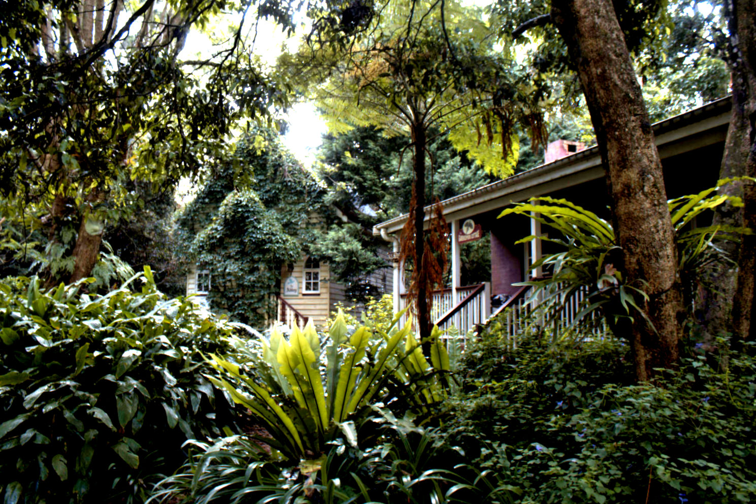 The Castle on Tamborine Mountain My Fairy Tale Story