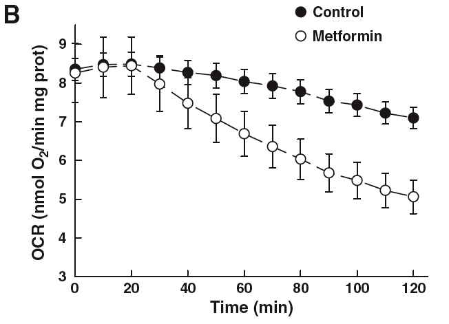 Metformin Dosage Too High