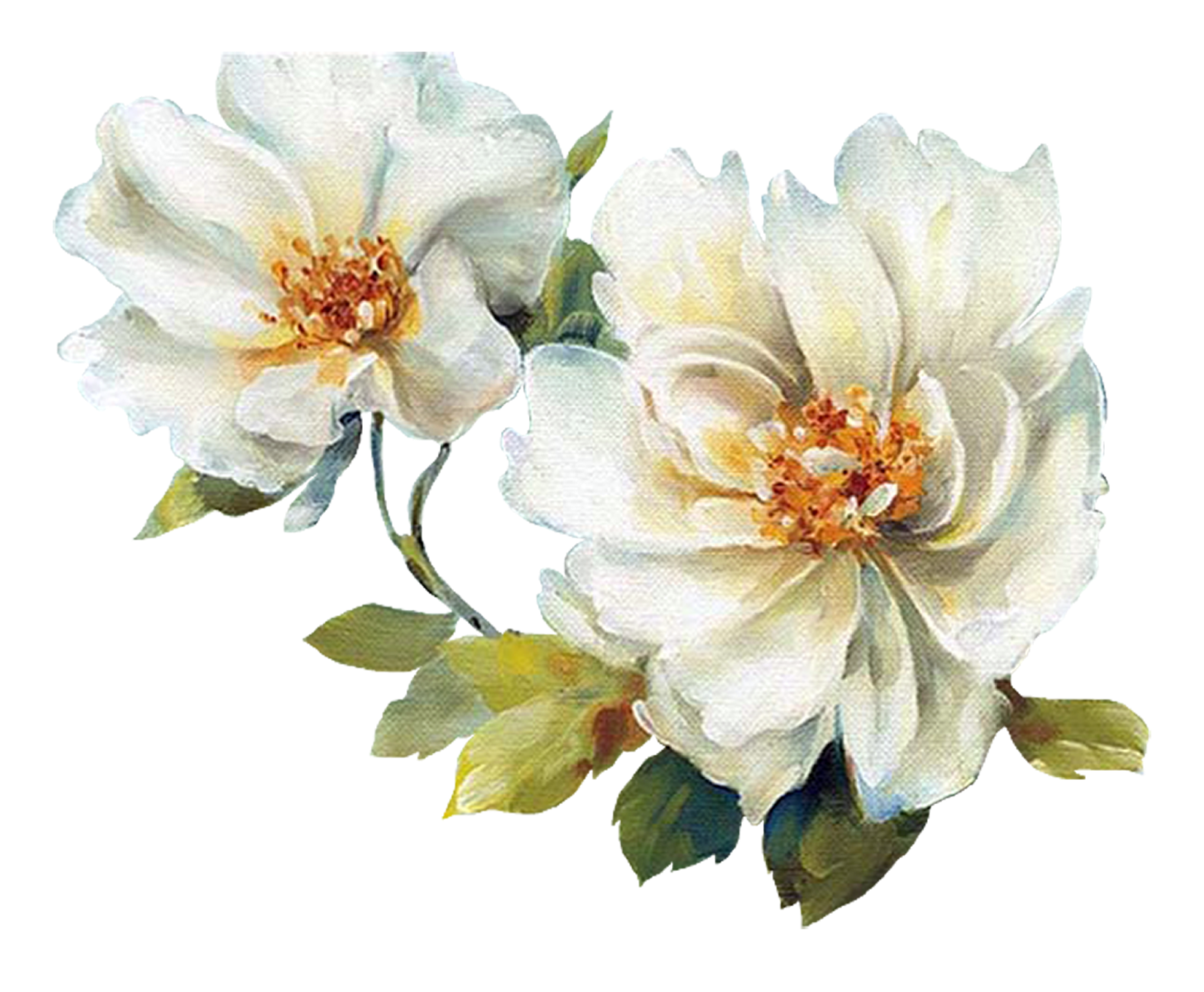 Flower Painting_By Lisa Audit_PNG_(69 item) | Blisse Design Studio