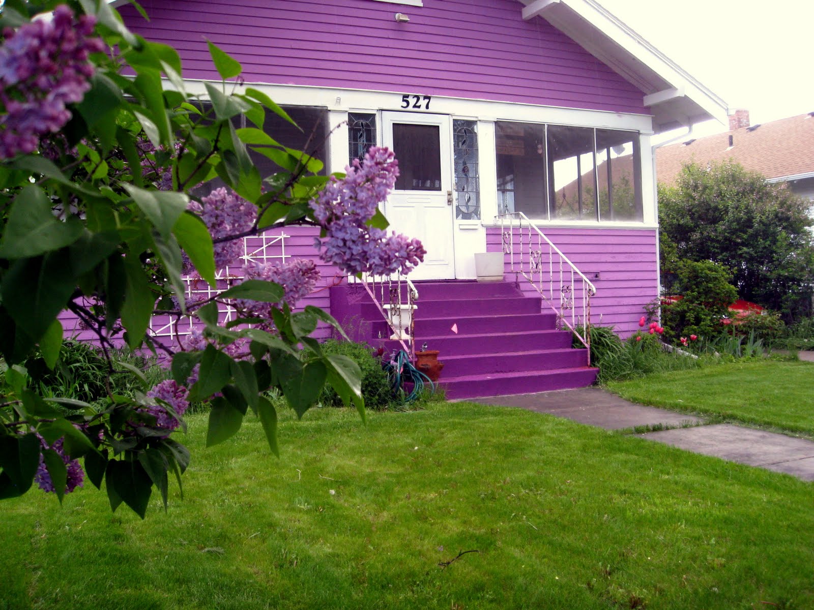 HollyHox Lilac house