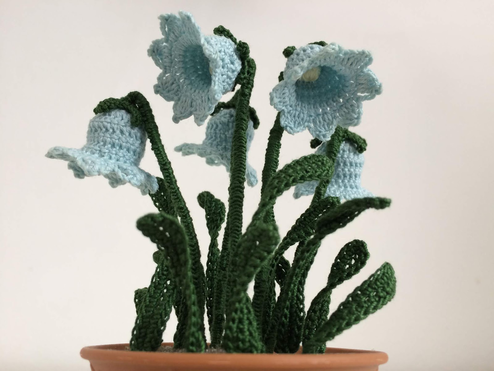 Il Blog di Sam Spiegazione del Fiore a Campanella Il Blog di Sam Spiegazione del Fiore a Campanella