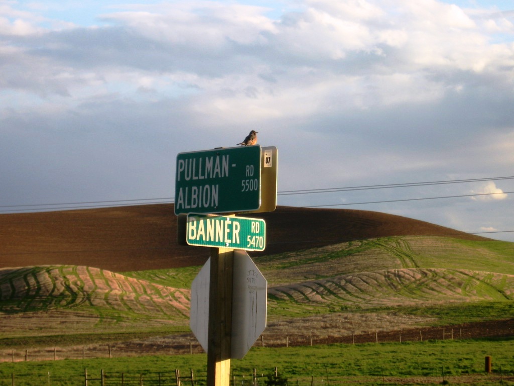 So This is Love... Here, There, and Everywhere