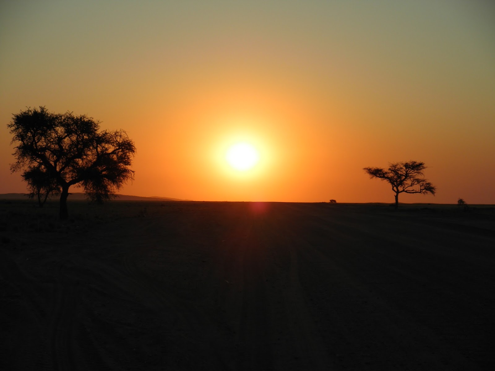 Stéphanie Pimet Profesora de francés Barcelona L'univers toujours