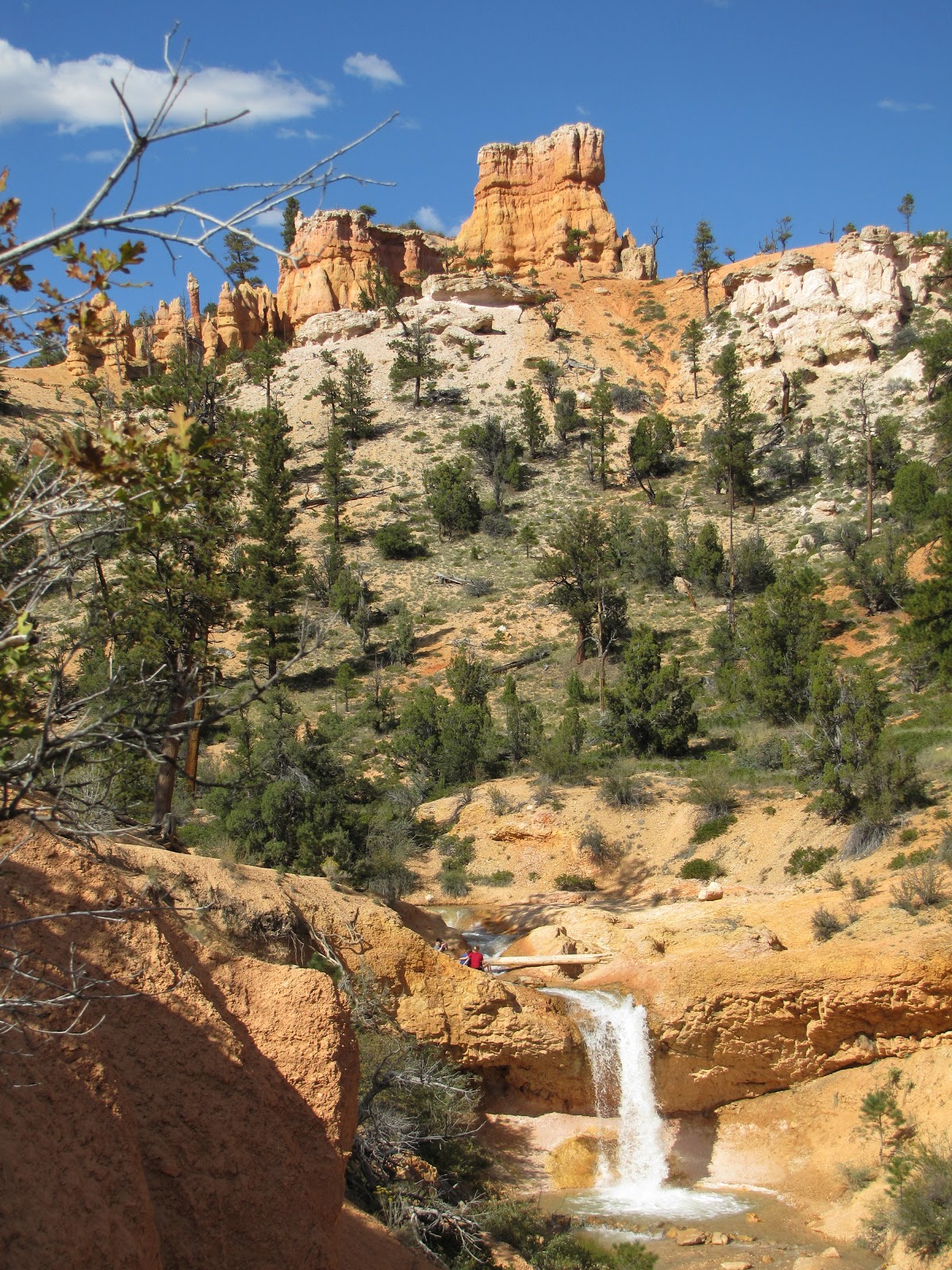 To Behold the Beauty From Torrey, Utah to Bryce Canyon National Park