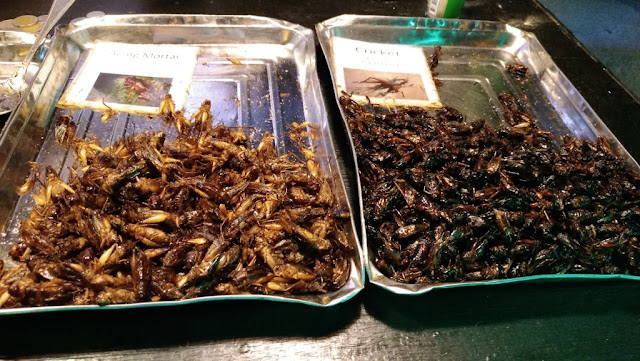 жареные тараканы насекомые