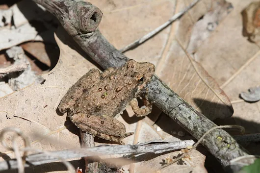 Prelude to a new beginning