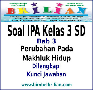 Soal IPA Kelas 3 SD Bab 3 Perubahan Pada Makhluk Hidup Dan Kunci Jawaban
