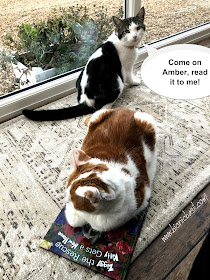C:\Users\User\Pictures\Amber's Book Reviews Ziggy The Rescue Kitty Gets a New Home by Tama Ann Blake @BionicBasil® Feline Fiction on Fridays with Melvyn.jpg