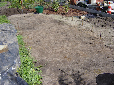 Onkruid ecologisch bestrijden : braakliggende grond vol kweekgras aanpakken met zwart plastic. Na enkele maanden heb je deze propere grond.