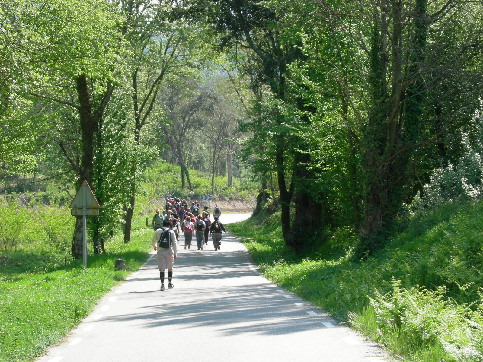 GRUP SENDERISTA DE LA XIC DE LA TORRASSA PARC DEL MONTNEGRE I EL CORREDOR