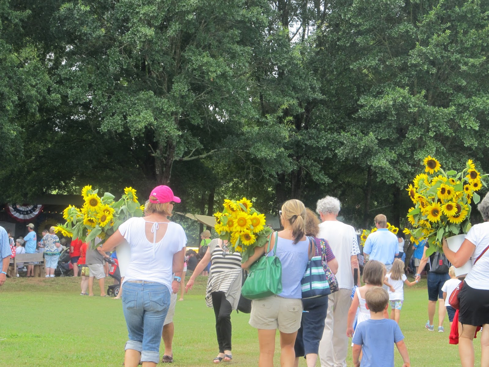 Girl With An English Heart Sunflower Festival Rutledge,