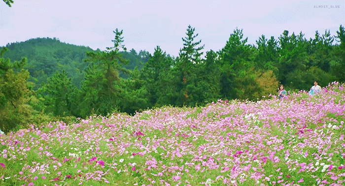 theqoo inserted image