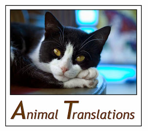 An Animal Translations Blog