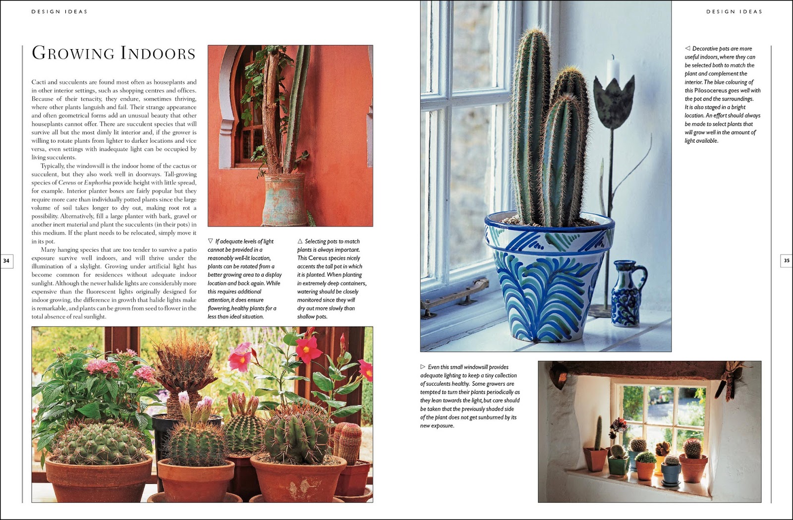 Book review The Complete Illustrated Guide to Growing Cacti & Succulents