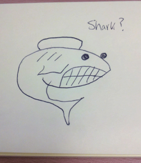 apprendre-a-dessiner-un-requin-5 apprendre-a-dessiner-un-requin-5 Comment dessiner un requin