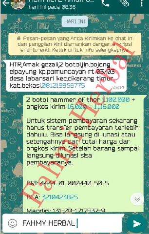 TESTIMONI HAMMER OF THOR TESTIMONI HAMMER OF THOR