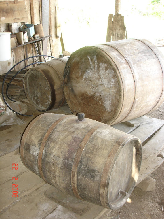 Fabricação de Vinho Caseiro (II)