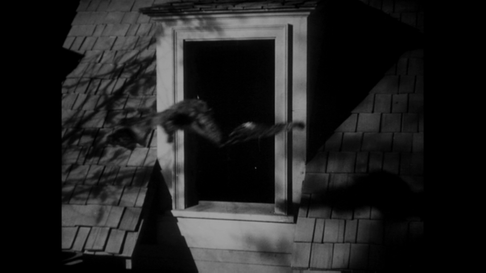 Joe Torcivia's The Issue At Hand Blog: DVD Review: The Devil Bat (1940)