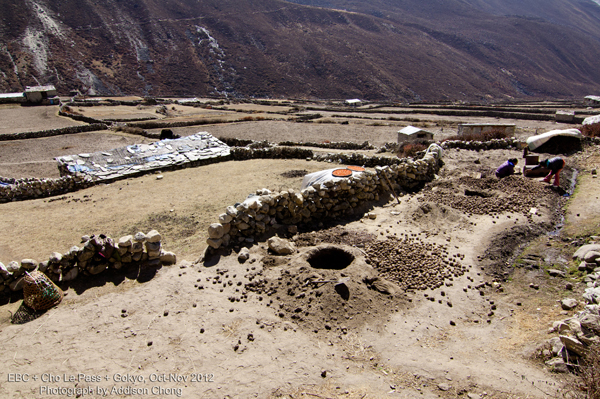 Himalaya agriculture