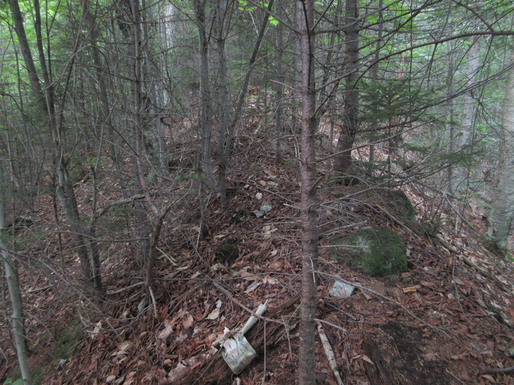 Mountain Wandering FLAT MOUNTAIN POND RAMBLE 7/26/17