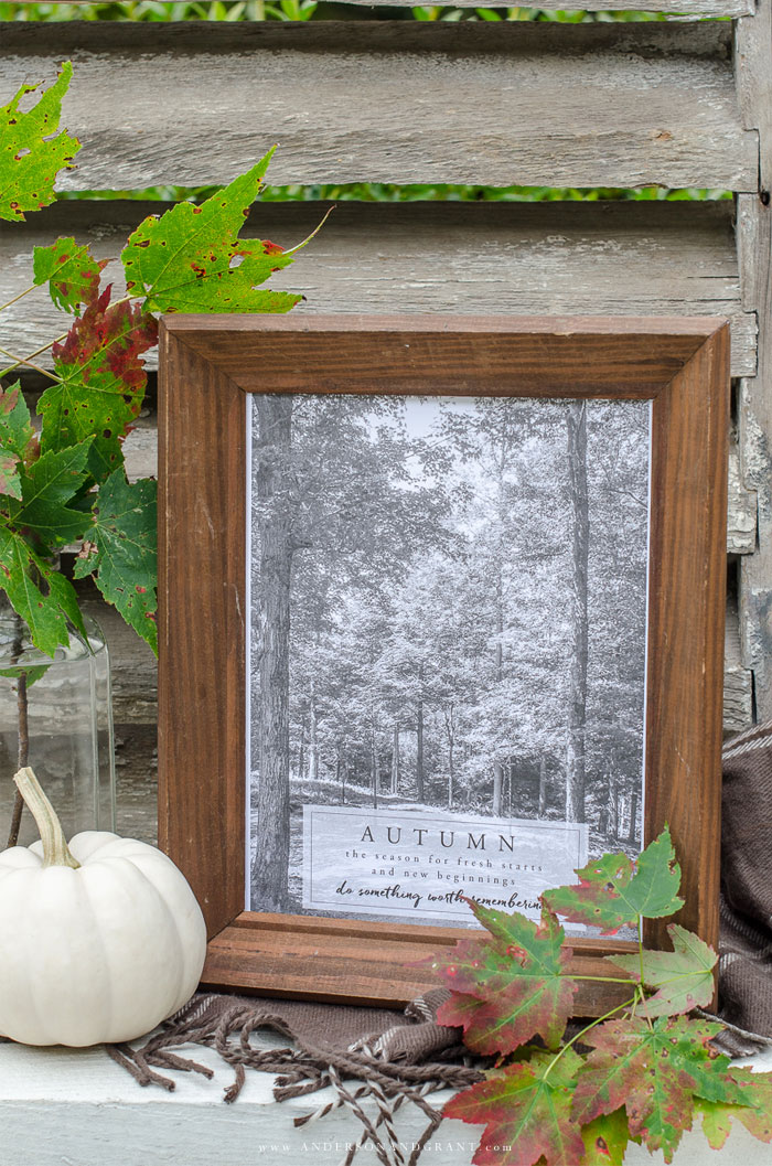 Starting Over in Fall Free Printable and vignette | www.andersonandgrant.com
