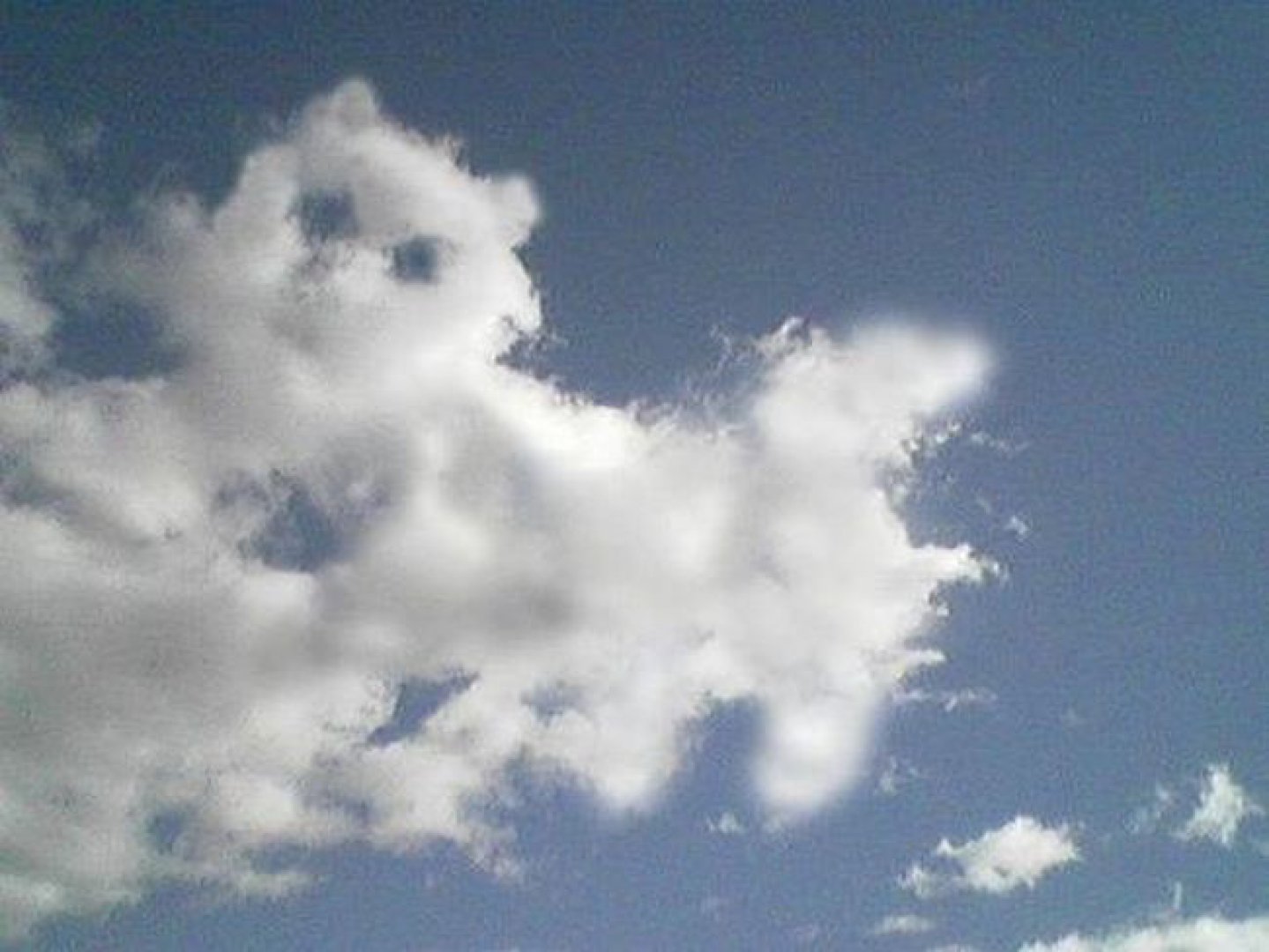 Облако казалось застыло. Облака. Облака похожие на животных. Облака в форме животных. Кучевые облака в виде животных.