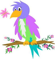 beautifull bird most beautifull bird on earth