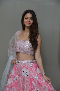 Actress Vedhika Stills at Ruler movie success meet Actress Vedhika Stills at Ruler movie success meet