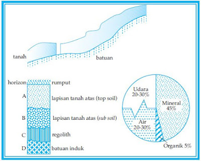 Proses dan Faktor-Faktor serta Jenis-Jenis Pembentukan Tanah (Tanah Aluvial, Laterit, Vulkanik, Pasir, Kapur, dan Organosol)