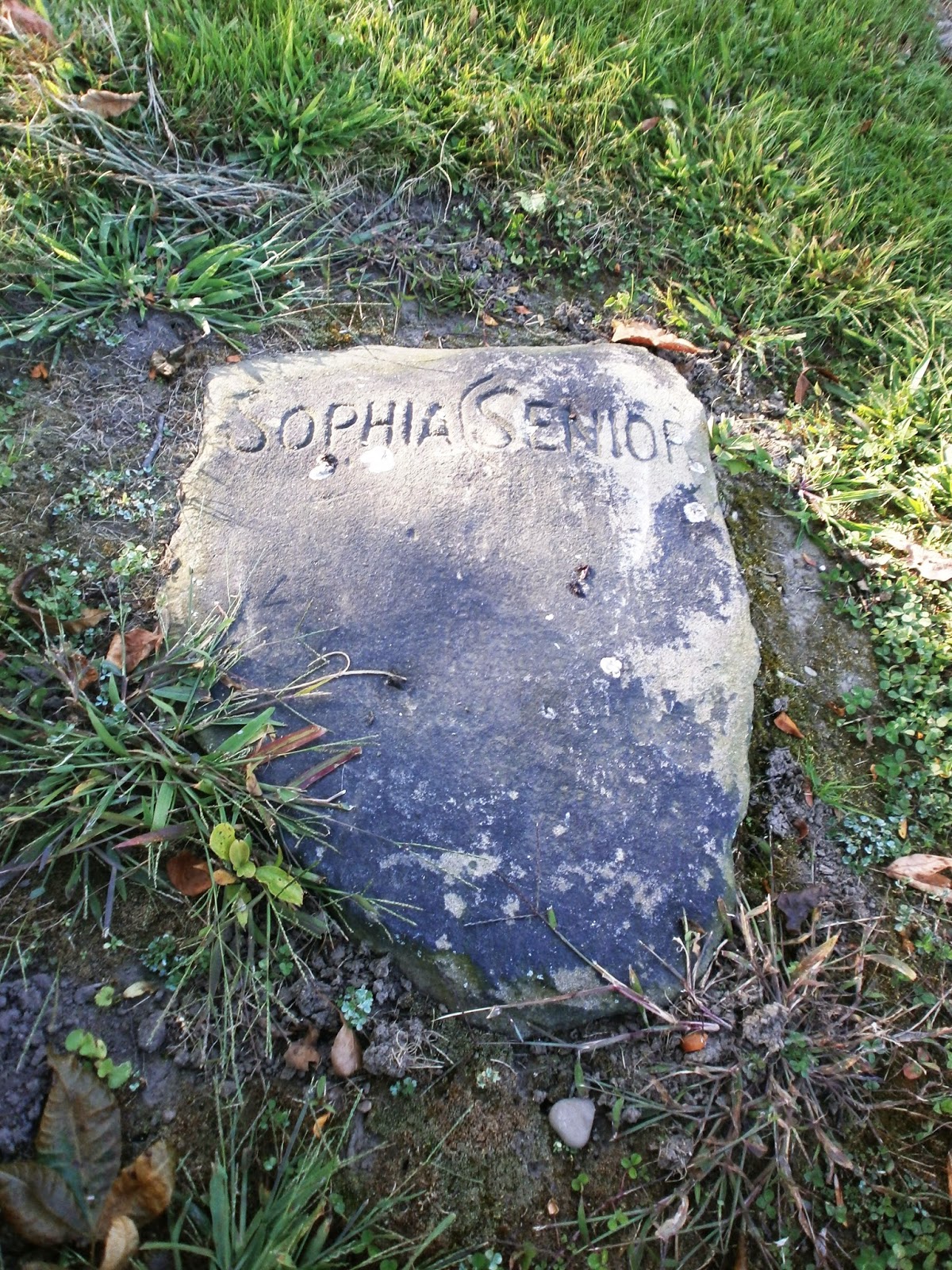 History in Stone The World of David Zeisberger