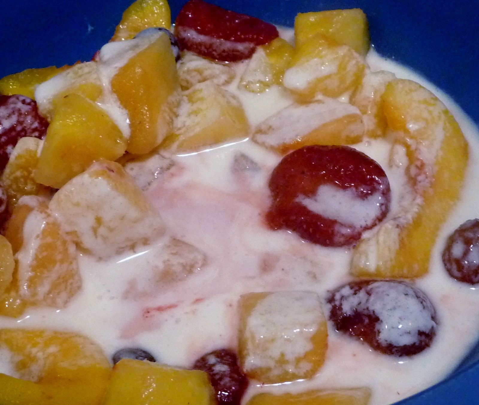 Middle Tennessee Crafts How To Make Homemade Yogurt in a Rice Cooker