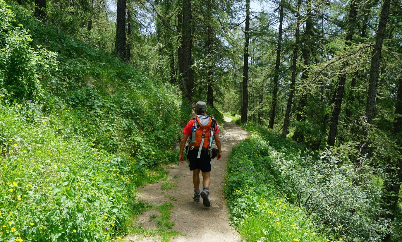 Summer Hike Near Valberg Hiking And Cooking In The South Of France