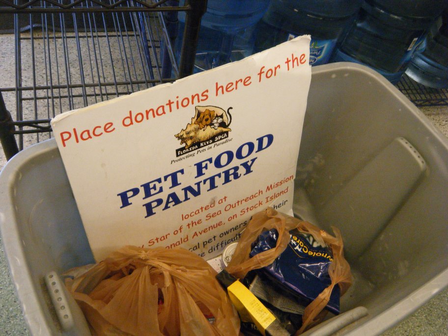 Plastic Masters of the World Unite! Feb 10th Like a Lino in the Sun