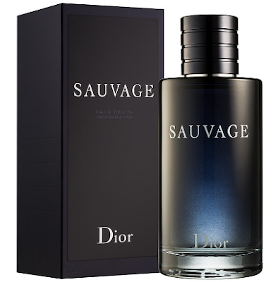 Perfumes Com Cheiro De Homem Rico Savage Eau De Parfum Dior