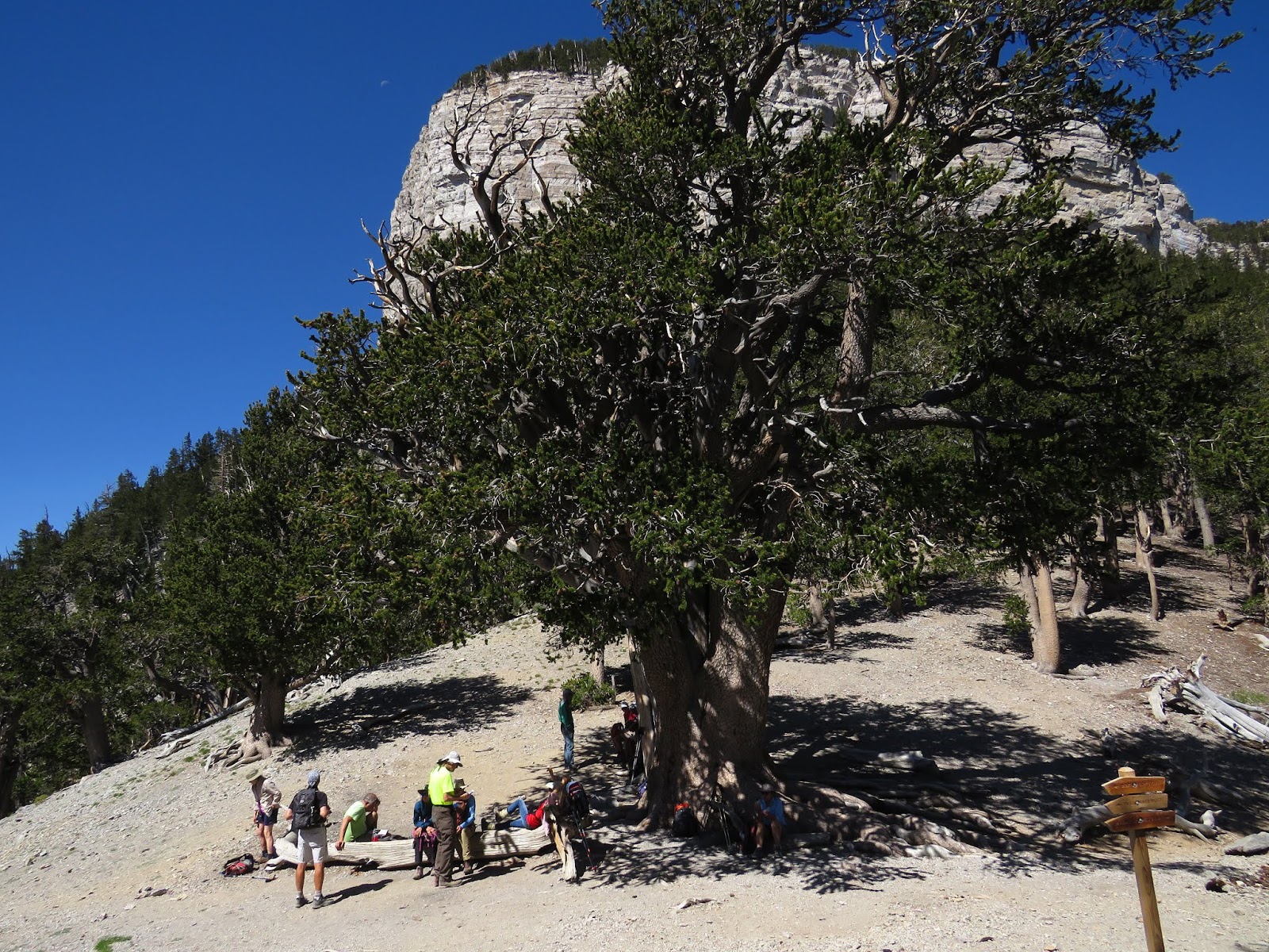 Around the Bend Friends ® Raintree via Trail Canyon 6/7/18