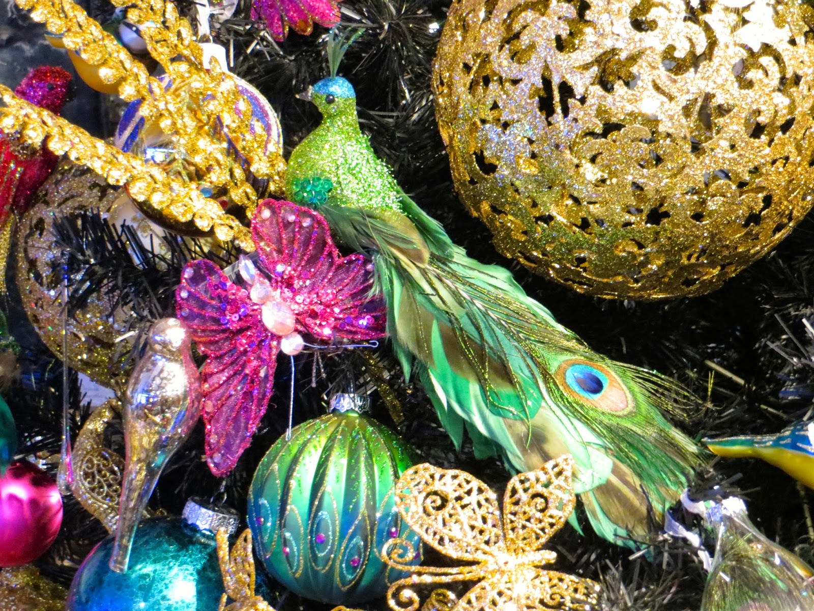 Curiouser and Curiouser The Tree Barn at Christmas Common