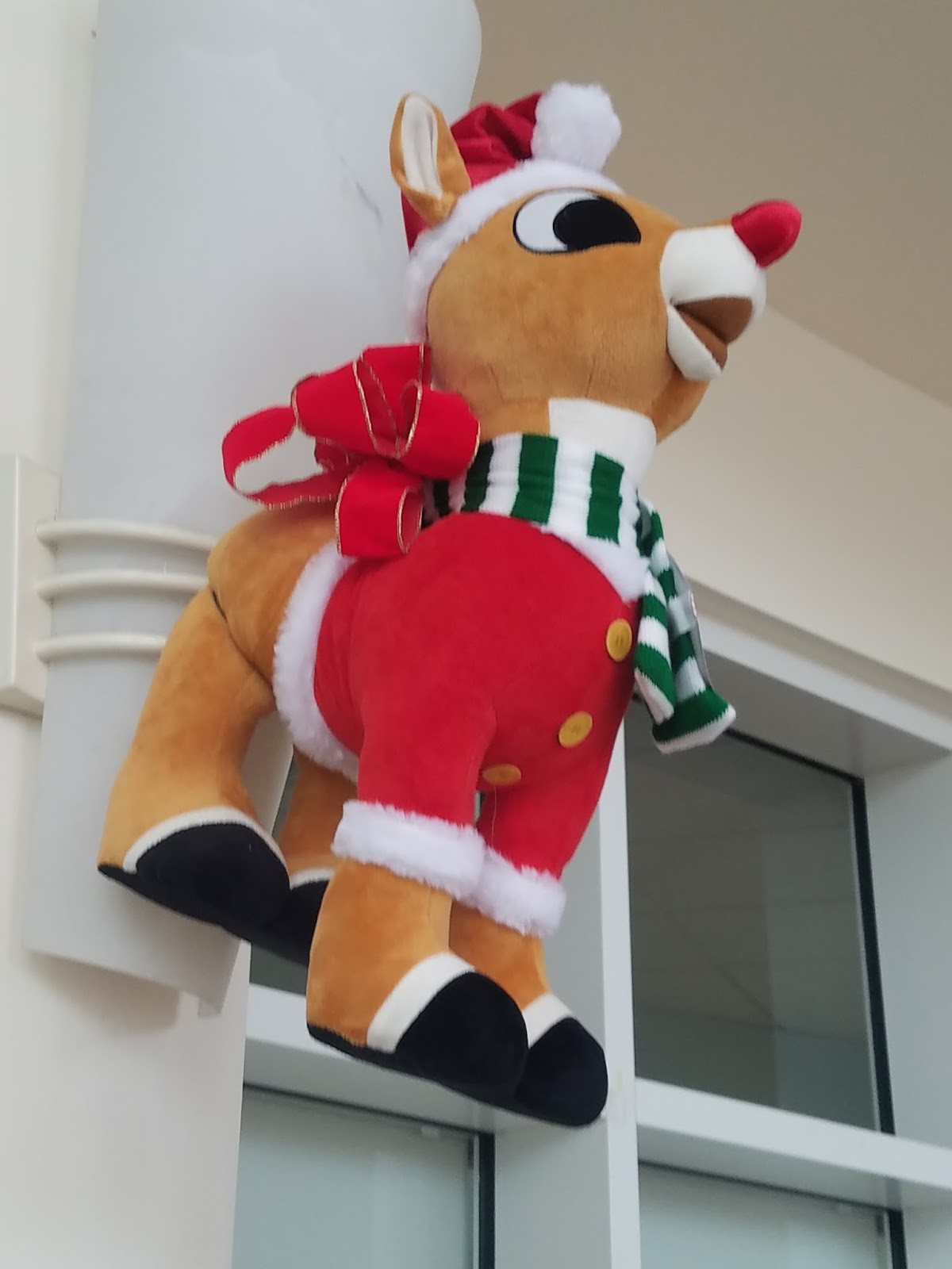 Adventures in Weseland Downtown Hayward Tree Lighting and Santa Con